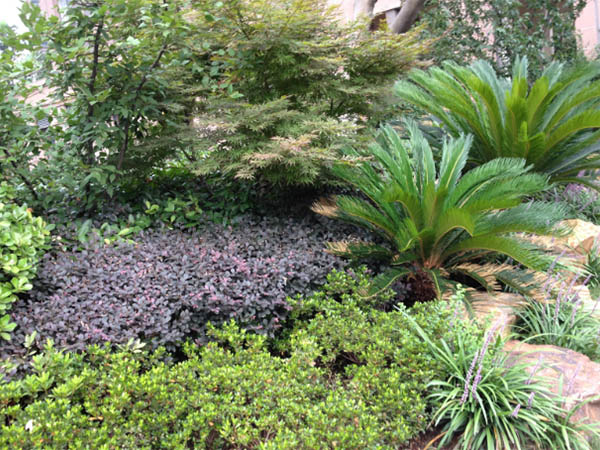 新宝GG的愿景与理念